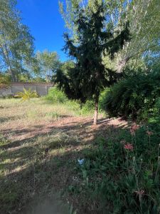 OPORTUNIDAD, DOS LOTES DE 10 X 40 CADA UNO. PASA EL GAS POR LA PUERTA. HACENOS TU CONSULTA - imagen1